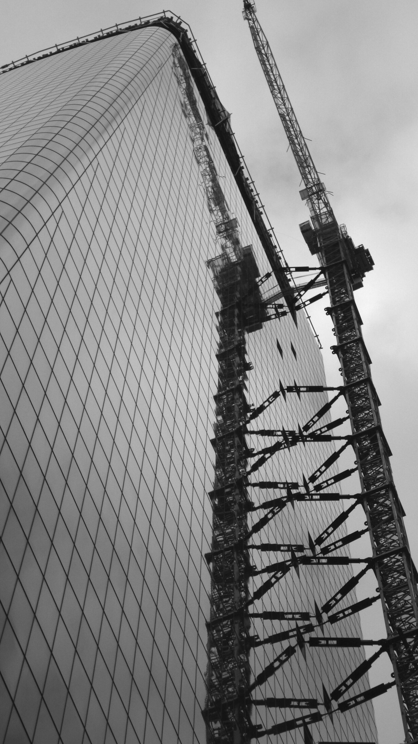 pexels-haywardfineartphotography-1702140