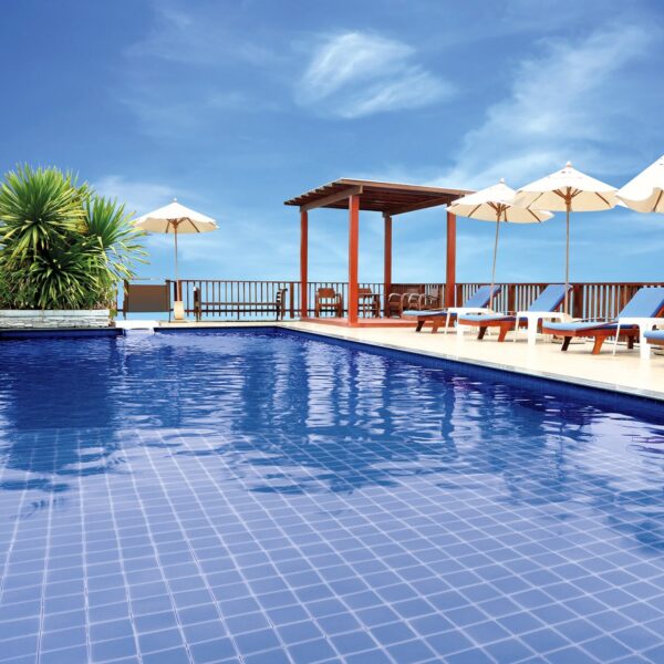 Swimming Pool Tiles - Image 4